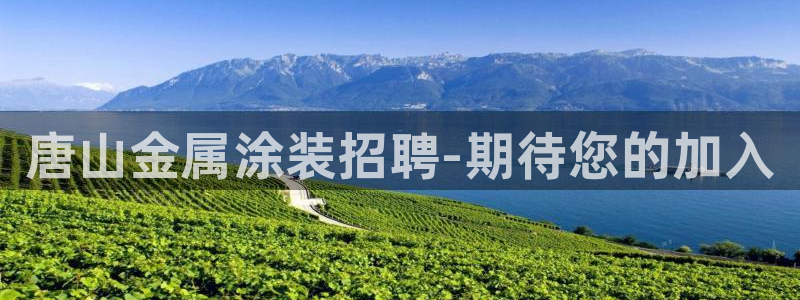 美高梅何超琼股份