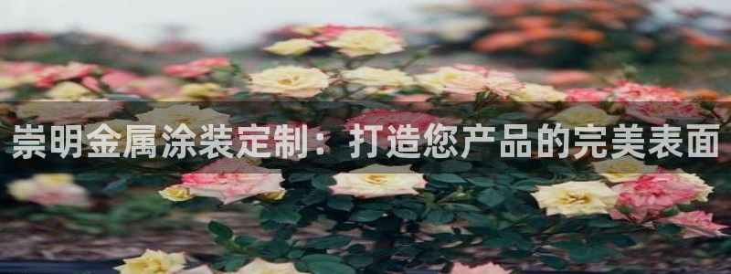 美狮美高梅酒店介绍