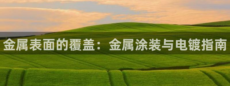 美高梅酒店集团旗下品牌有哪些