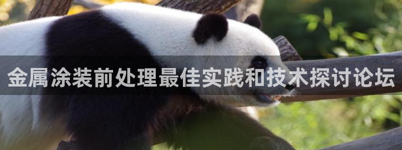 美高梅控股有限公司怎么样