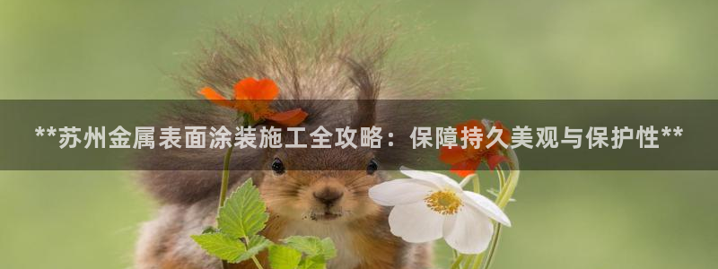 美狮美高梅商场