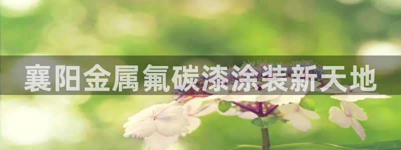 美高梅1000万筹码图片