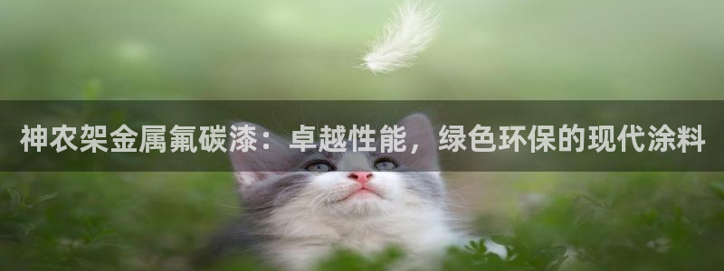 美高梅dfs关门时间