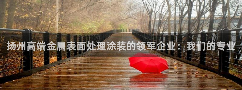 美高梅是何超琼创立的吗：扬州高端金属表面